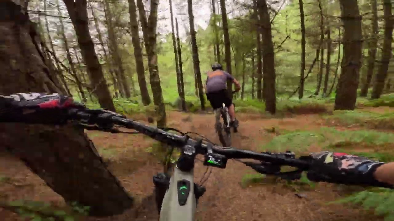 Cannock chase mountain biking