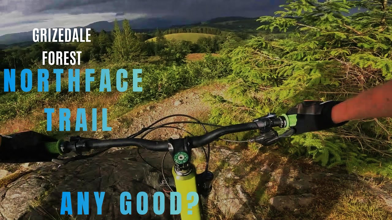 Grizedale northface trail-Is it worth riding?