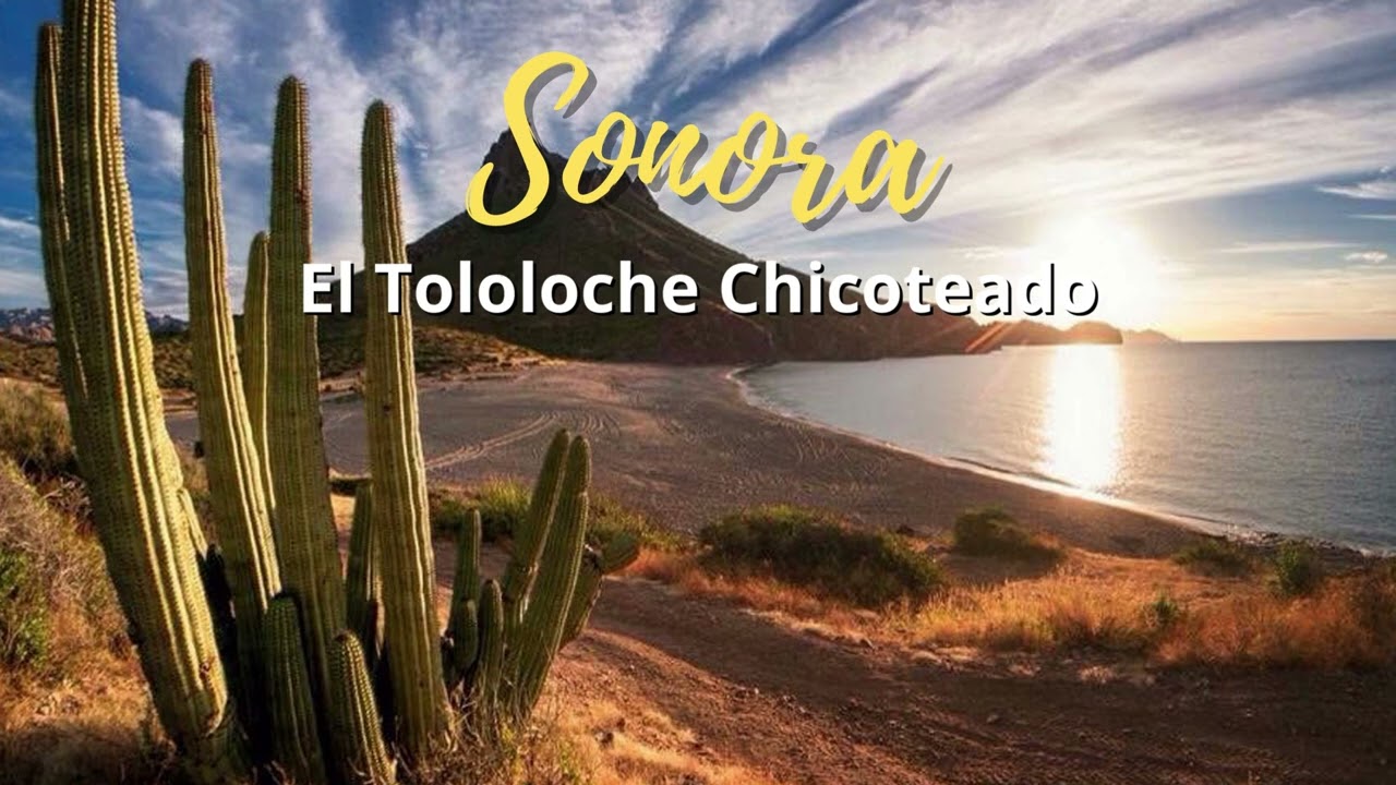 Sonora - El Tololoche Chicoteado