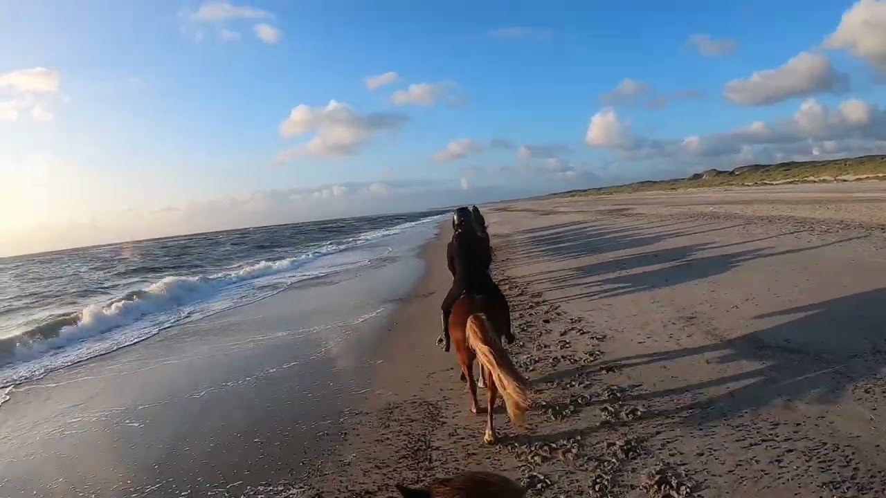 Strandabschnitt des Ausritt am 17.08.2024 in Nymindegab/DK