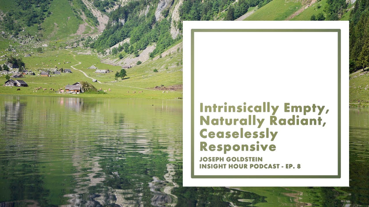 Joseph Goldstein Insight Hour Ep. 8 – Intrinsically Empty, Naturally Radiant, Ceaselessly Responsive