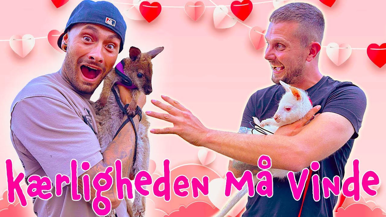 Vi Tager På Kænguru Date
