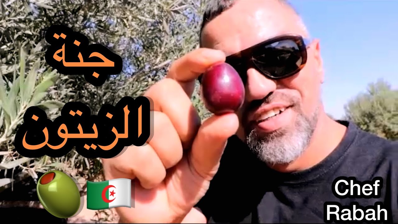 الشاف رابح اوراد في المزرعة السعيدة  