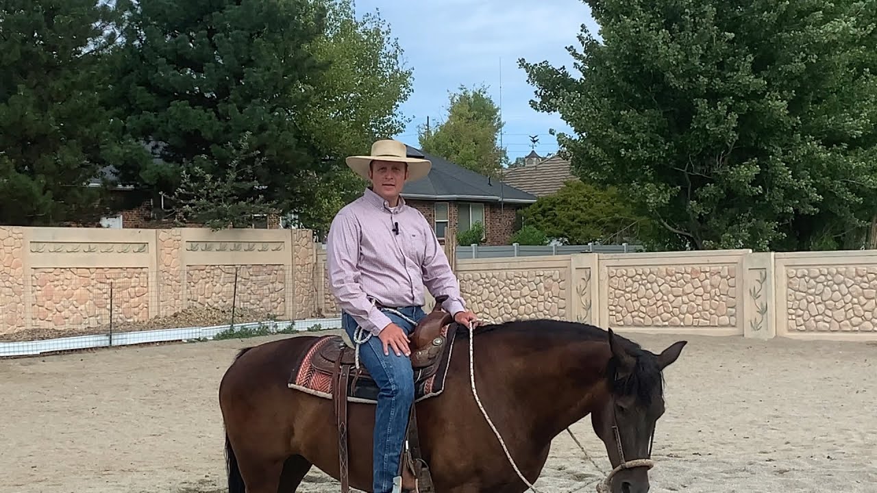 How to get better turns and not have your horse fall into the circle