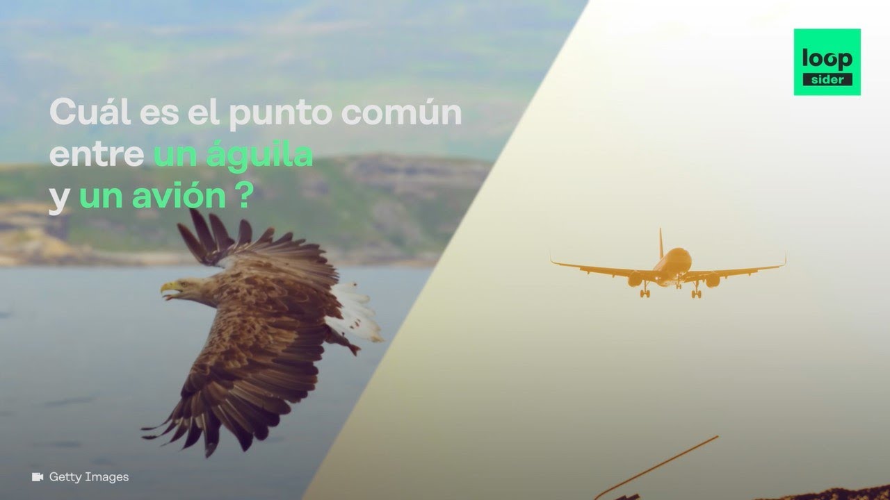 Biomimesis: ¡Cuando la naturaleza inspira la innovación!