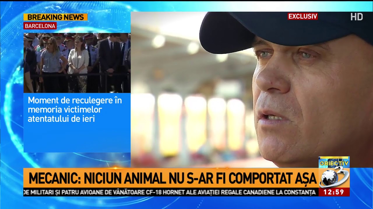 Mecanicul locomotivei, declarații exclusive după carnagiul de la Brănești:
