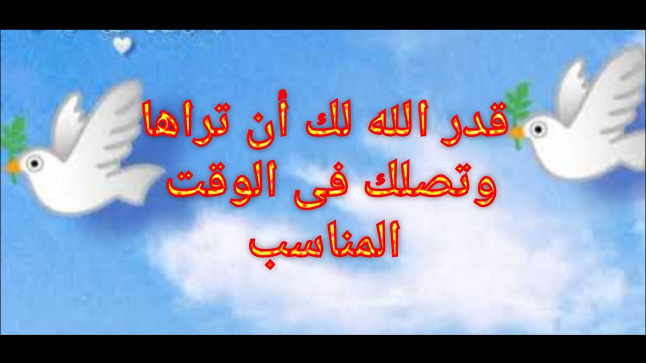 رساله خاصه لك قدرها الله لك أن تراها فى الوقت الحالى لانك محتجها