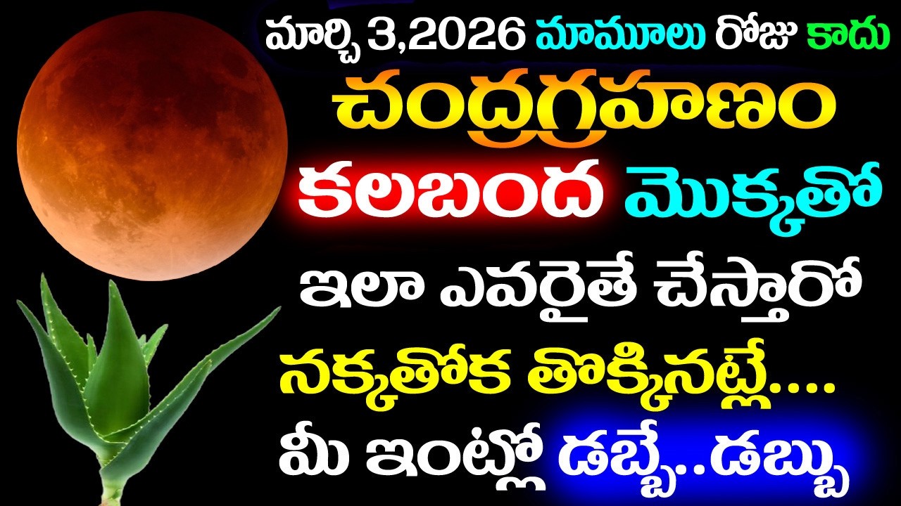 మార్చి 3 చంద్రగ్రహణం కలబంద మొక్కతో ఇలా ఎవరైతే చేస్తారో నక్కతోక తోక్కినట్లే మీ ఇంట్లో డబ్బే డబ్బు