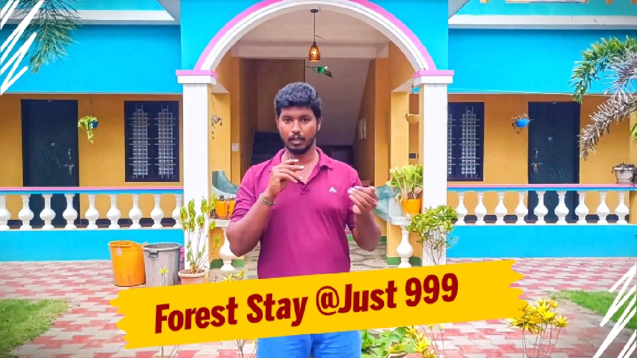 Paradise Forest Resort | Auroville | Pondicherry #auroville #aurovilleresort #aurovillepondicherry