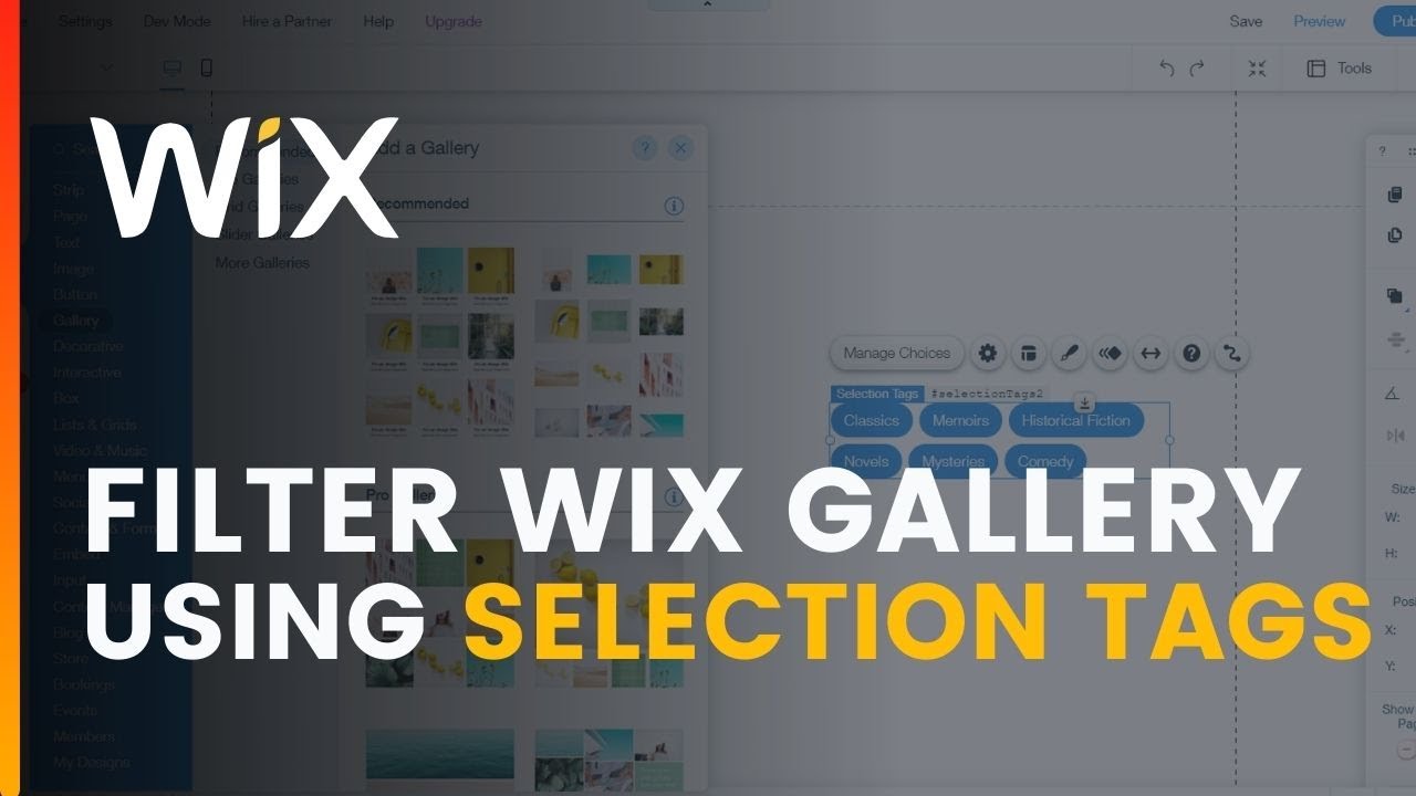 Display Database Content & Filter WIX Gallery Using Selection Tags | 2021 Tutorial | Wix Ideas