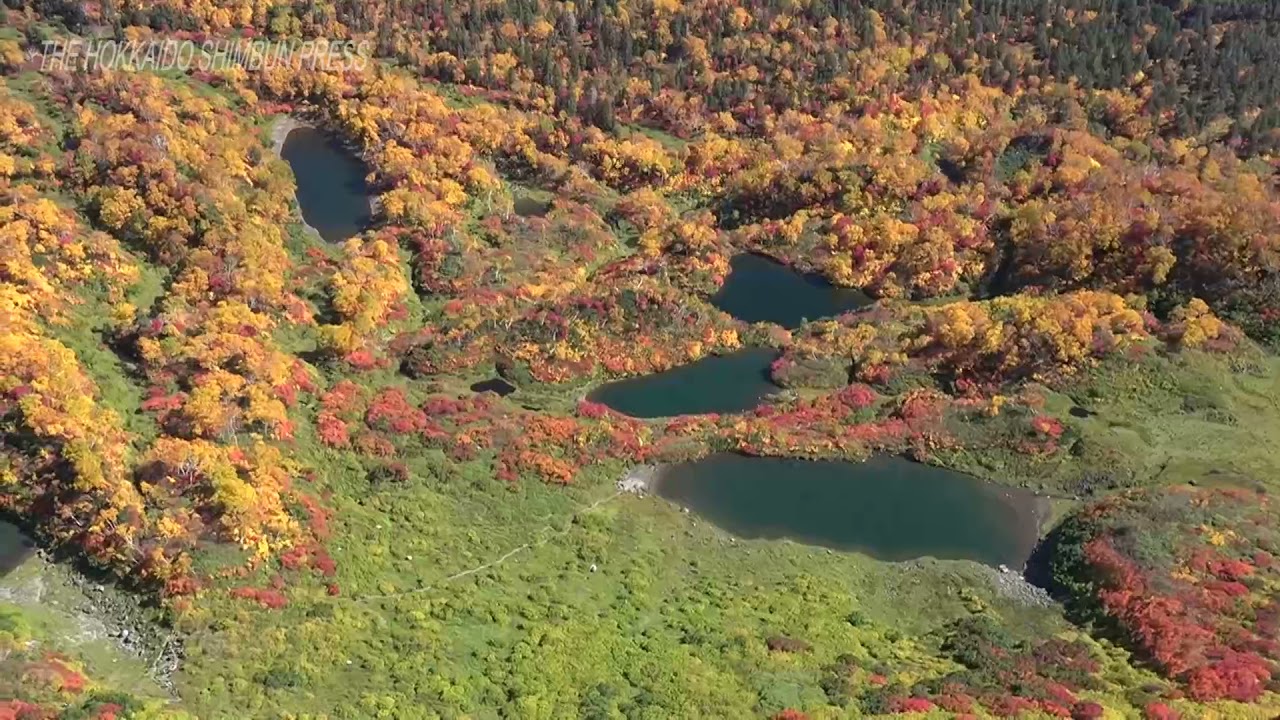 Autumn foliage peaks at Taisetsu Kogen Onsen, Sounkyo 20211008