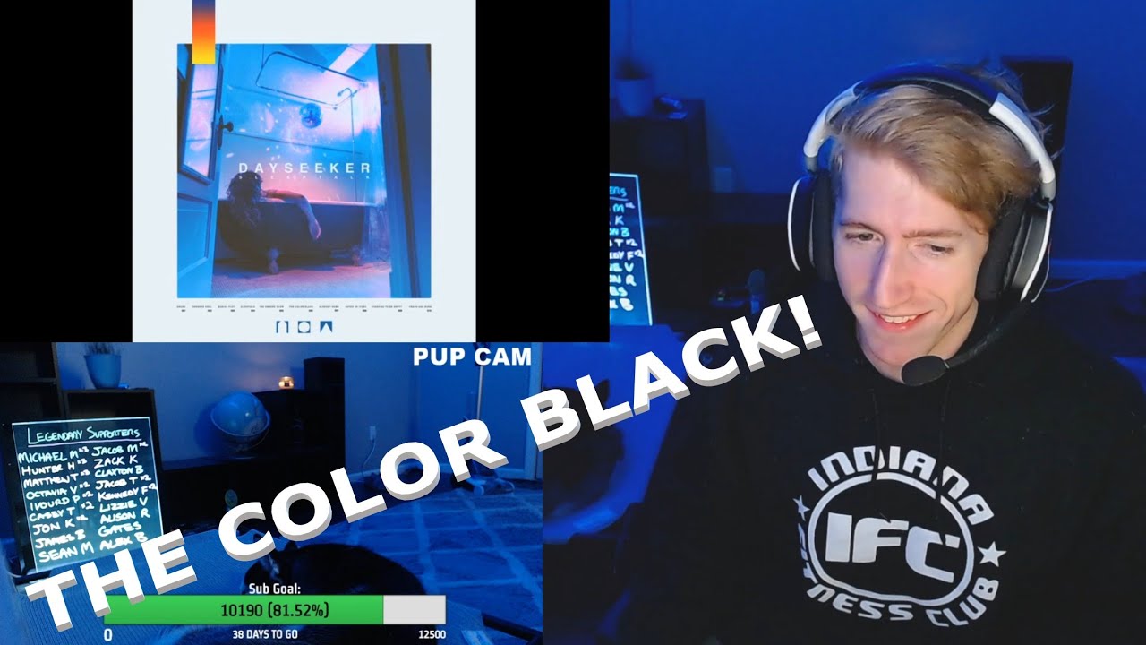 Chris REACTS to Dayseeker - The Color Black