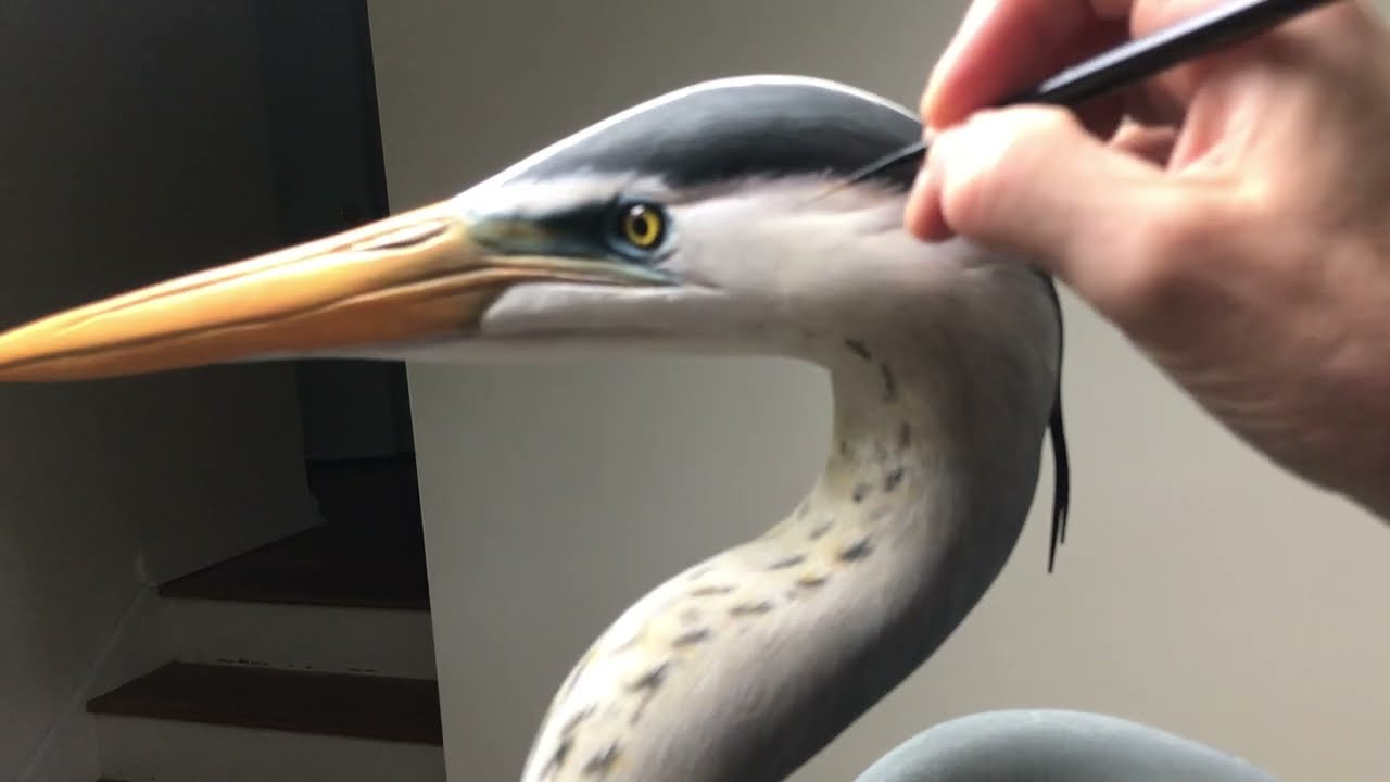 Soft Acrylic Painting A Great Blue Heron