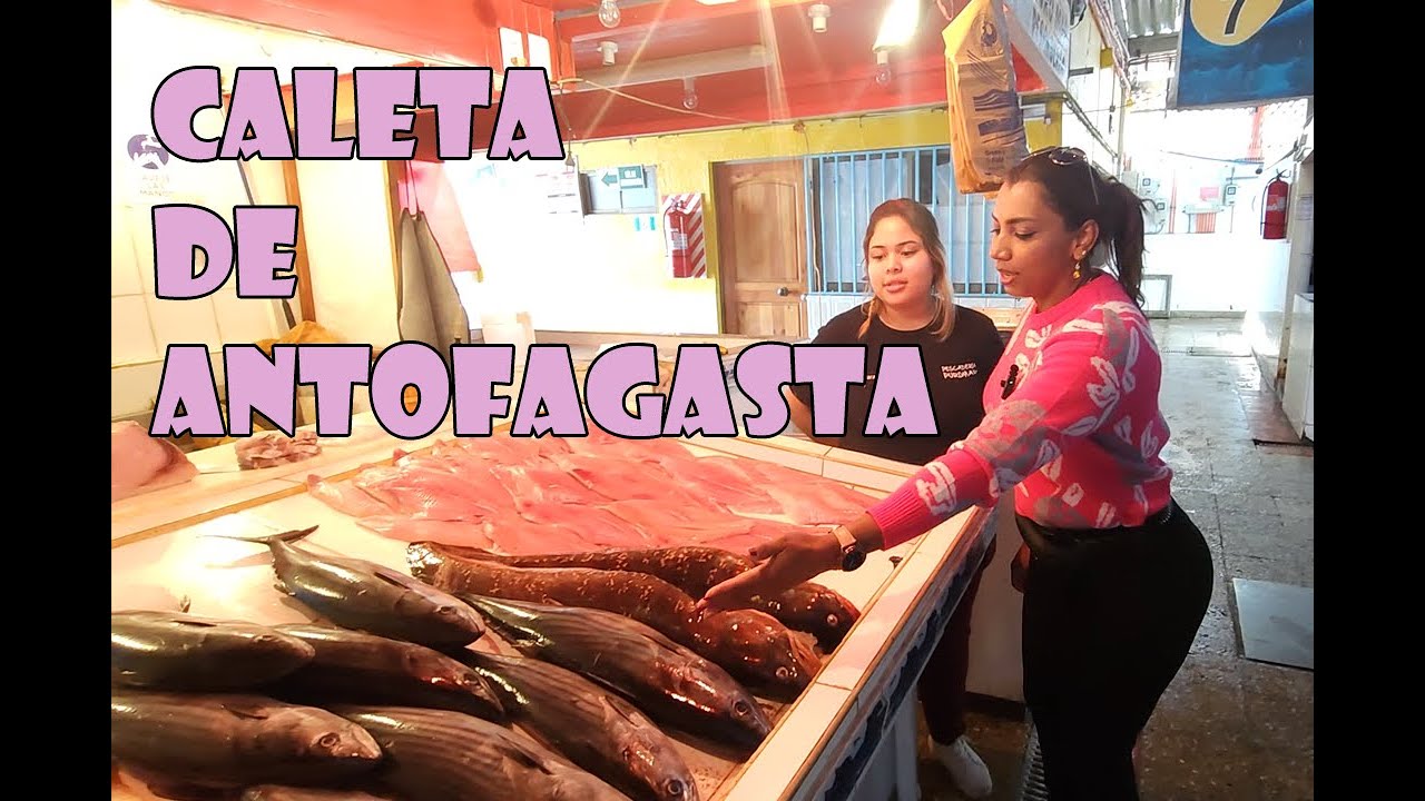 Visitando el Terminal Pesquero la Caleta de Antofagasta