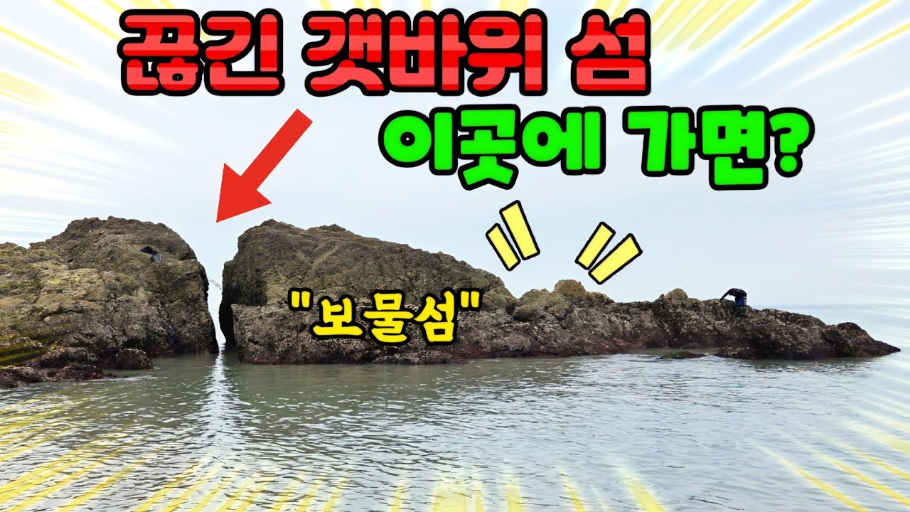 드디어 사다리로 못가던 고립된 갯바위를 점령하였습니다