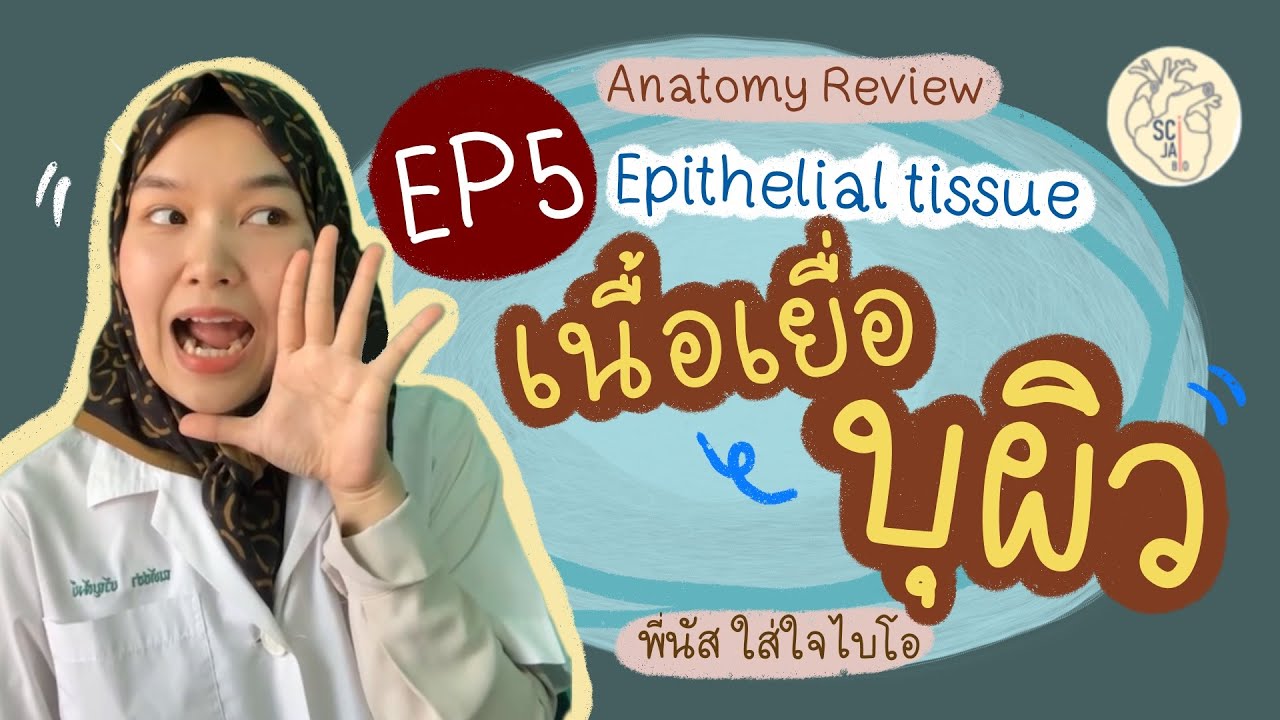 เนื้อเยื่อบุผิว epithelial tissue I Anatomy review: Day 5
