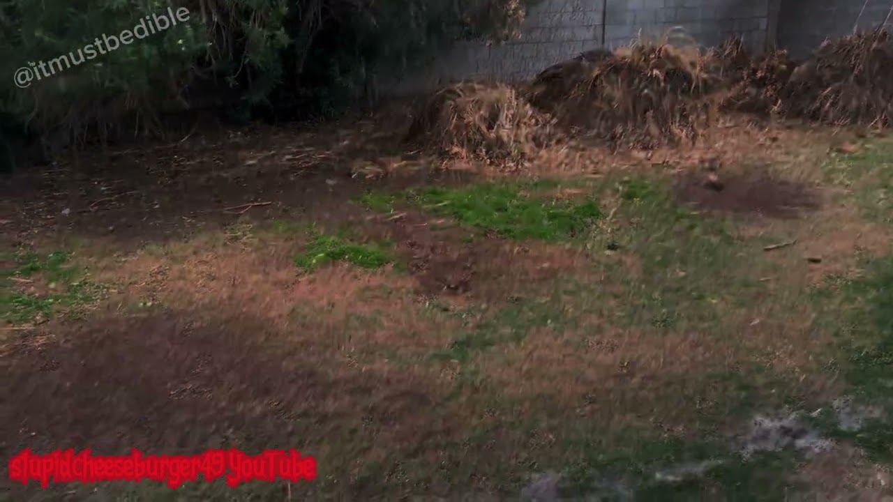 Intense rainstorm 