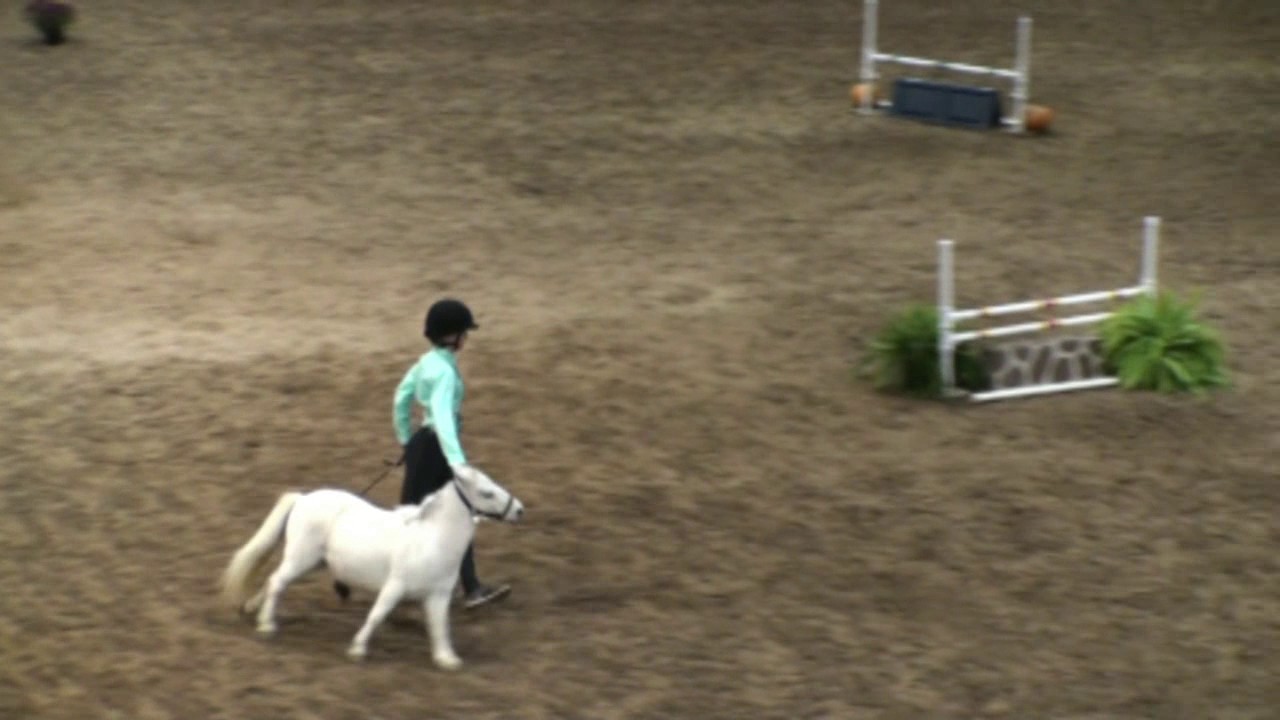 2016 PA State 4 H Show-Mini Horse Jumping-Danielle