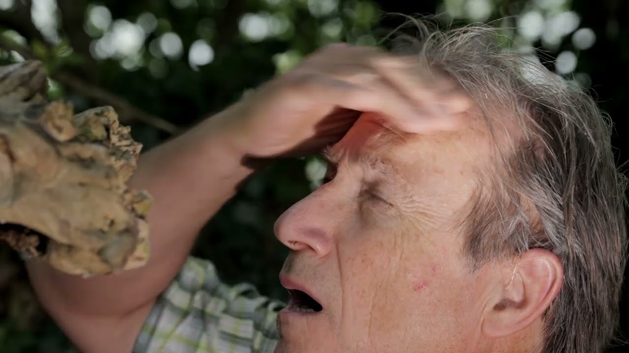 Il sentiero del tempo