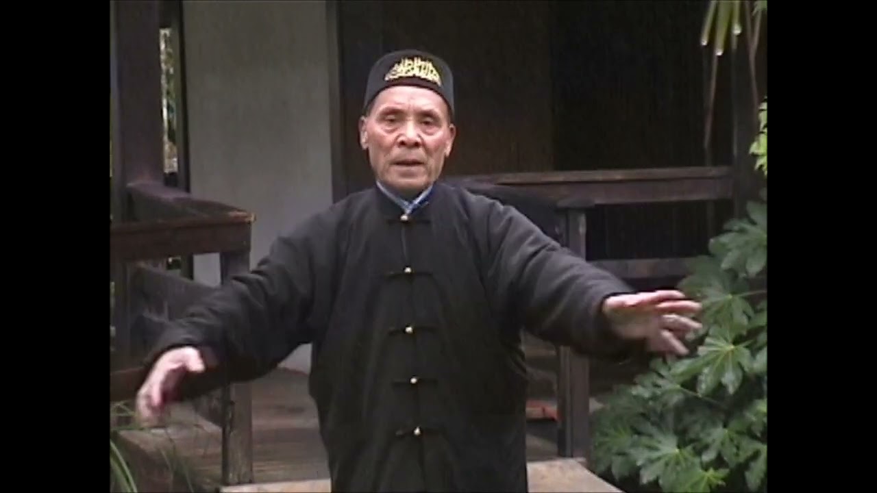 李见宇 Yi Quan 神意拳 Mo Ca Bu 步法