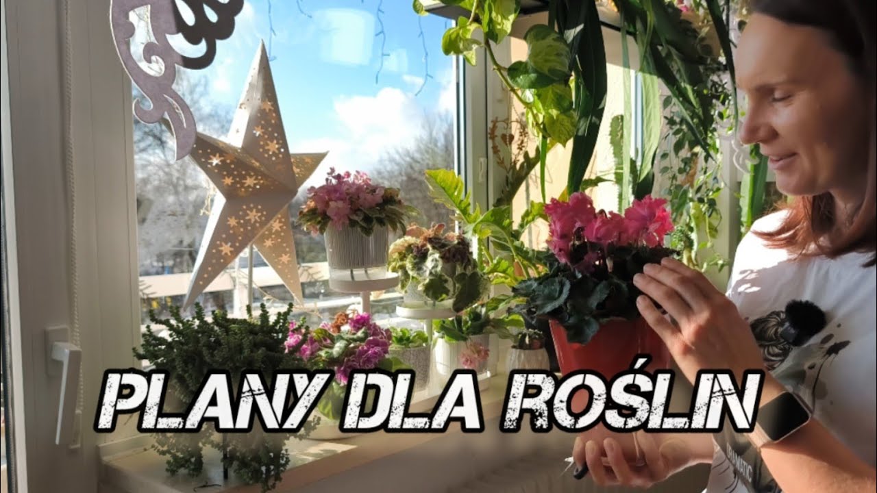 Roślinne postanowienia na Nowy Rok 🌿 Plany dla mojej miejskiej dżungli