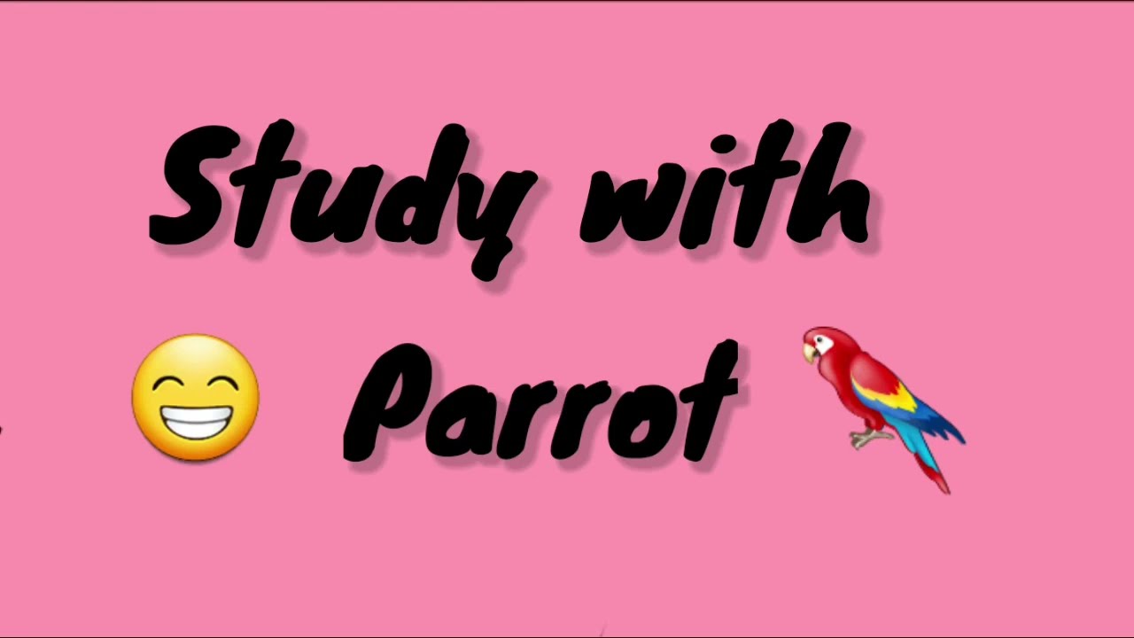 Studying With Parrot || Expectation Vs Reality