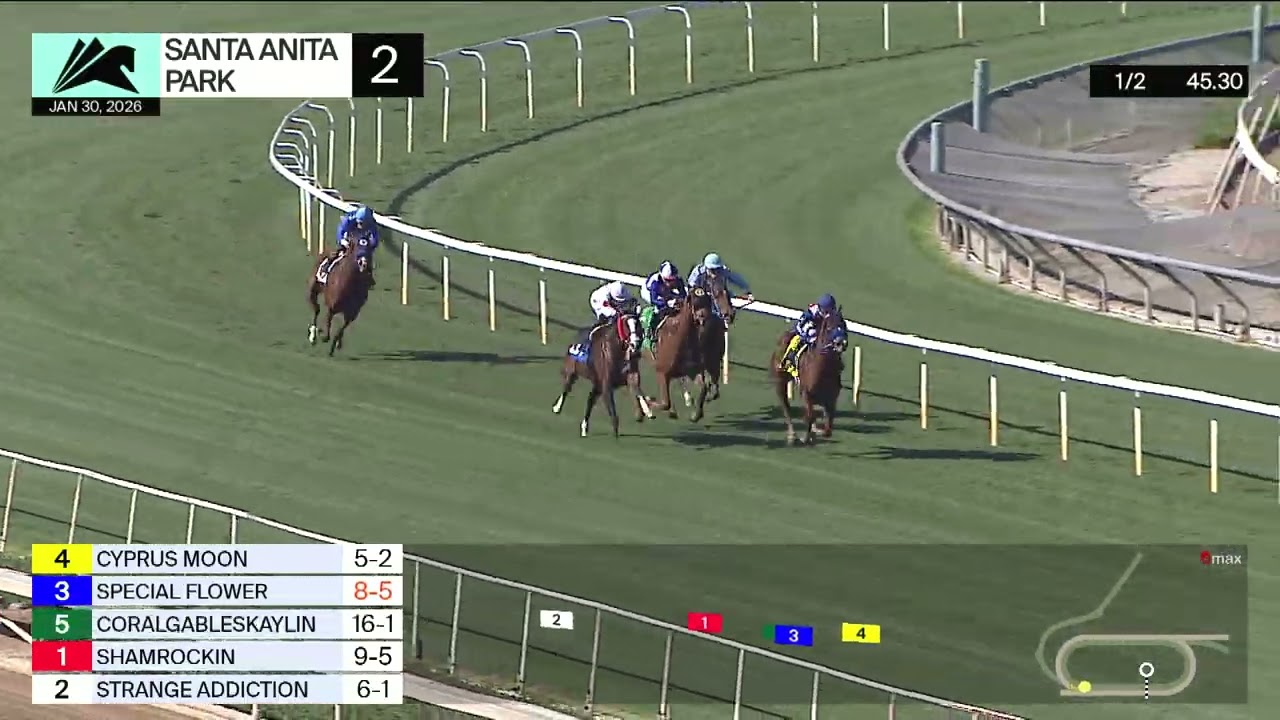 Жеребец Special Flower одержал победу во второй гонке в пятницу, 30 января, на ипподроме Санта-Ан...