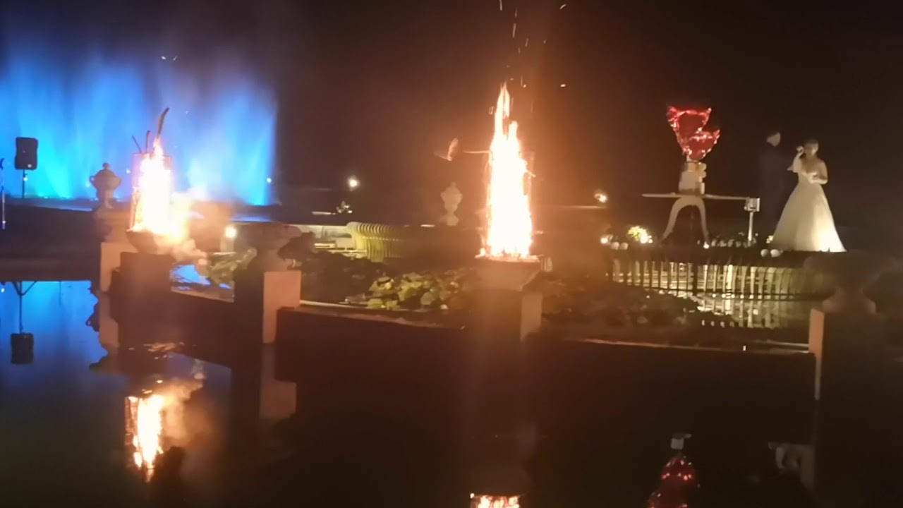 Corte do Bolo