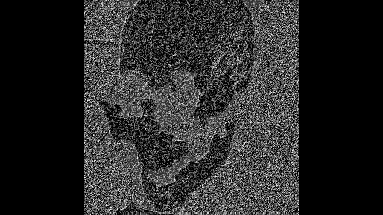 Whores Breath/Spent Stillehto Split 