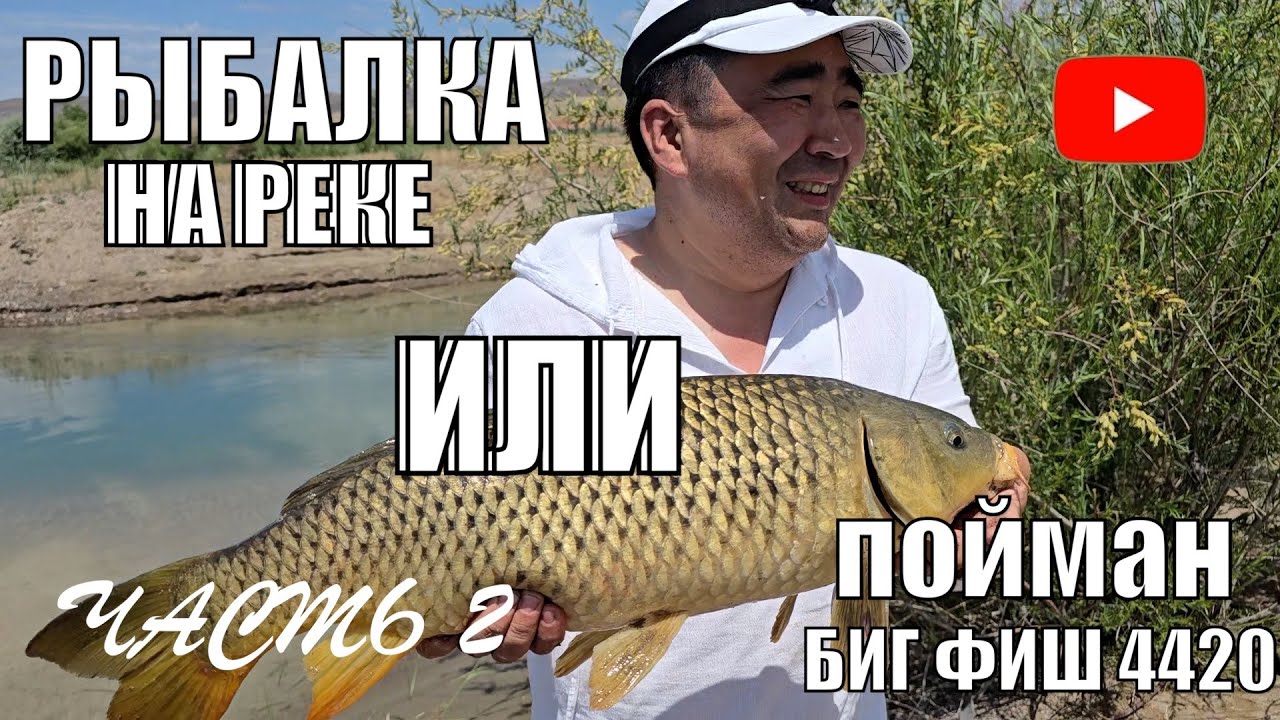 РЫБАЛКА НА РЕКЕ ИЛИ МОЯ ВСТРЕЧА С БИГ ФИШ  НОВЫЕ СНАСТИ ИЮНЬ 2024. ТРОФЕЙНЫЙ САЗАН