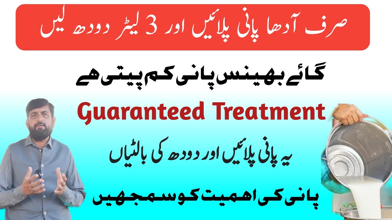 آدھا پانی پیتے ہی دودھ 3 لیٹر بڑھ جائے گا  |      Increase Of Milk With This Drinking Water