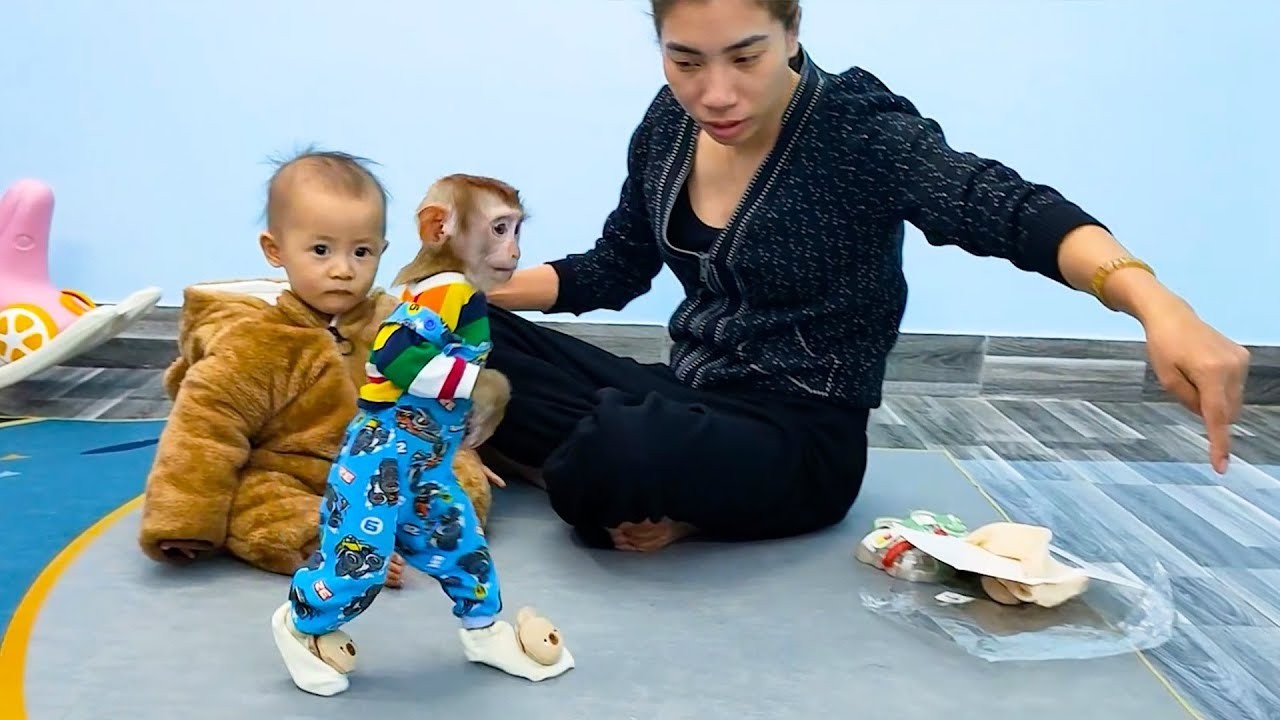 Mom put some socks on Monkey Kaka to keep feet warm.