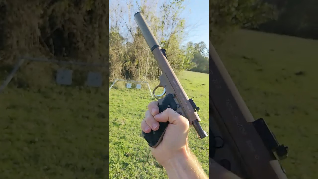 Silenced Ruger 22