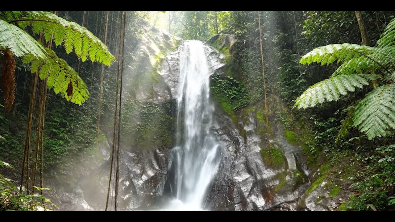 Endless Jungle Waterfall 🌿💧 | Deep Sleep ASMR | 4K Nature Sounds