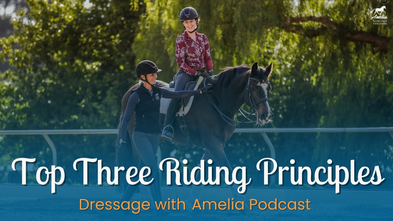 Top Three Riding Principles Q&A