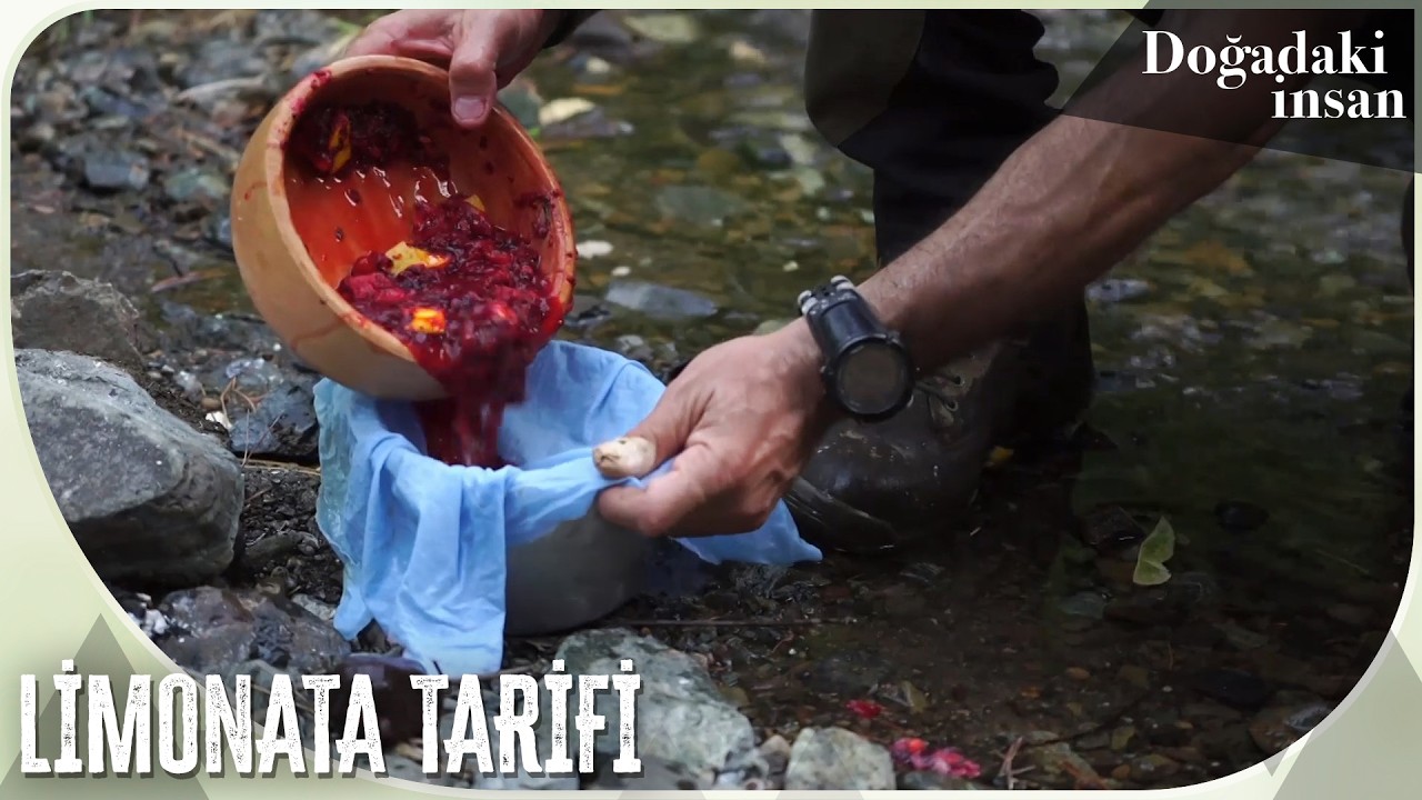 Dalından toplanan orman meyveleriyle nefis bir limonata tarifi 🍋 | Doğadaki İnsan 61. Bölüm