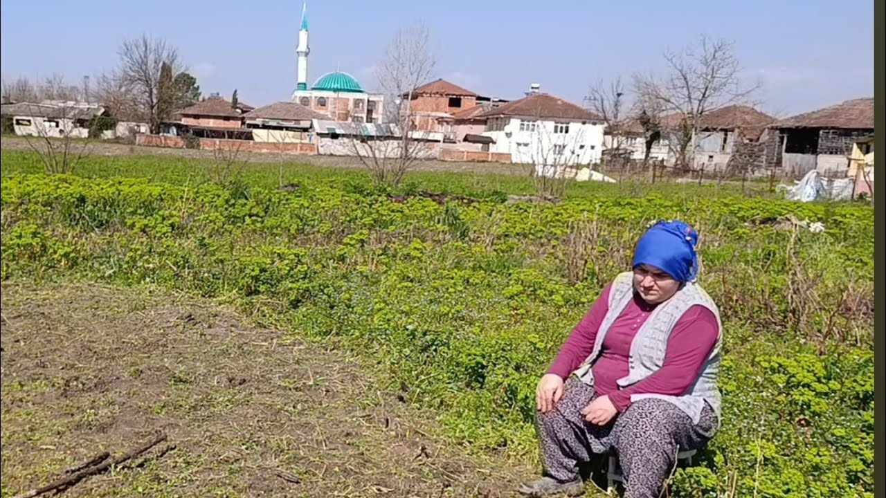 PATATES YERİNİ TİZLEDİM SAKARYA DA BAĞ BAHÇE İŞLERİ BAŞLADI #keşfet #koyvlog #bağbahçe 