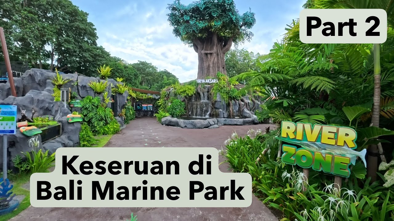 Marine Safari Bali Part 2