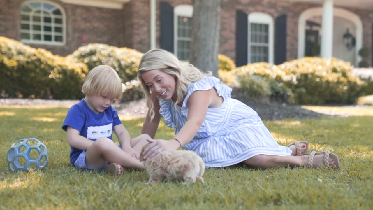 Simply Southern Pups