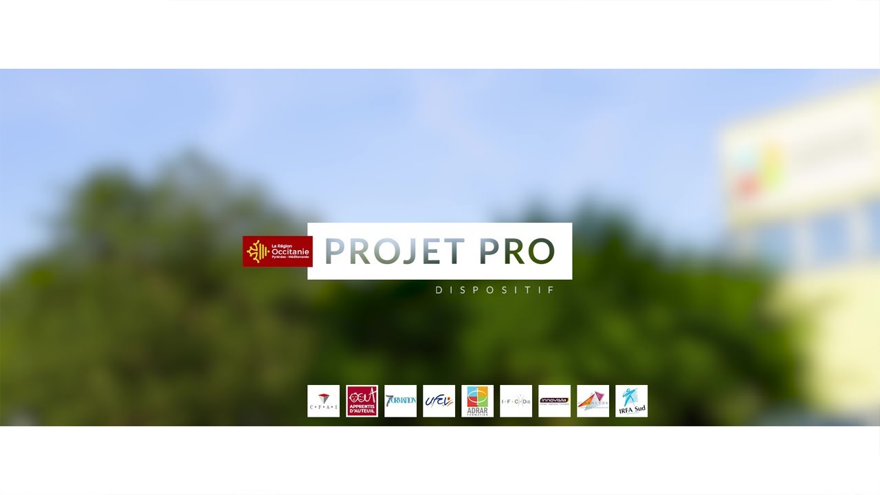 Prestation d&rsquo;accompagnement au projet professionnel : PROJET PRO