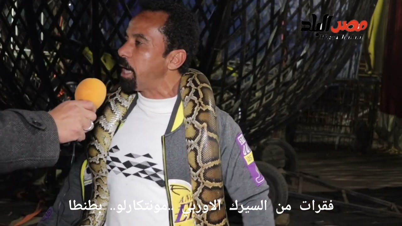الأسود المفترسه تلعب مع الكابتن محمد هاشم في اقوي عروض سيرك  مونتكارلو بطنطا