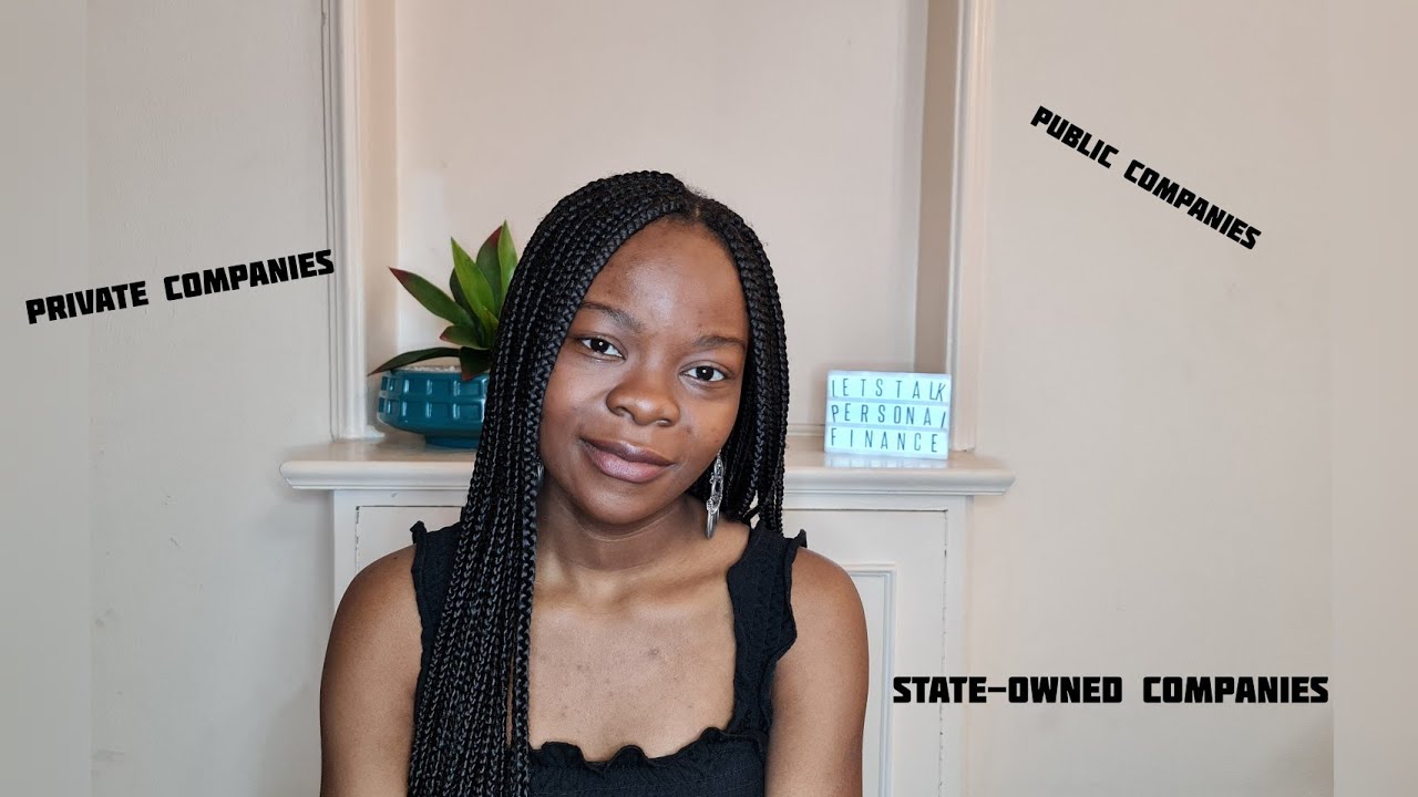 Types of Companies | Which Company Type Is Best Suited For Your Business | South African YouTuber