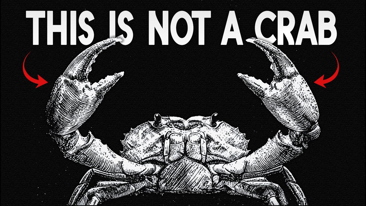 Why Evolution Keeps Turning Animals Into Crabs?