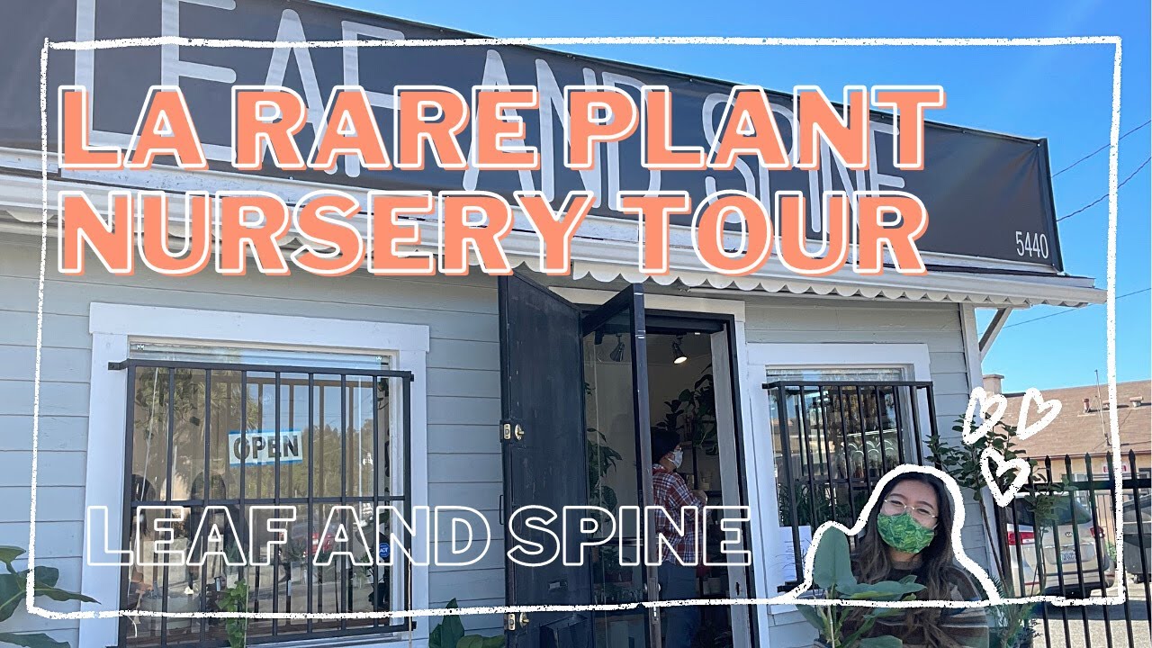LA RARE PLANT NURSERY TOUR | LEAF AND SPINE