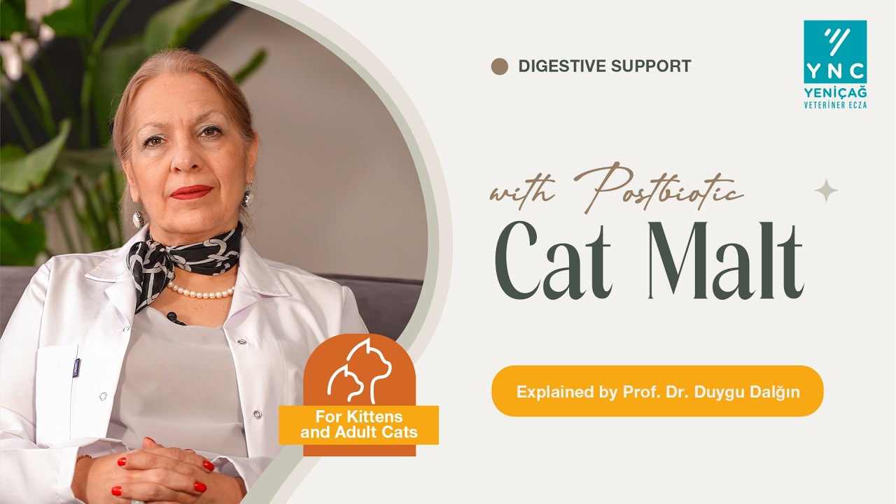 Hairballs in Cats | Hairball Cure Digestive Support – Prof. Dr. Duygu Dalğın