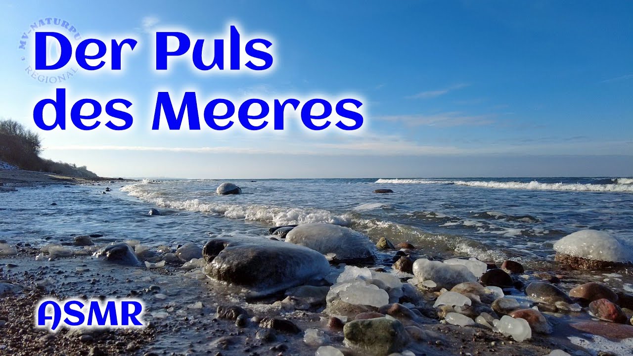 Der Puls des Meeres - ASMR