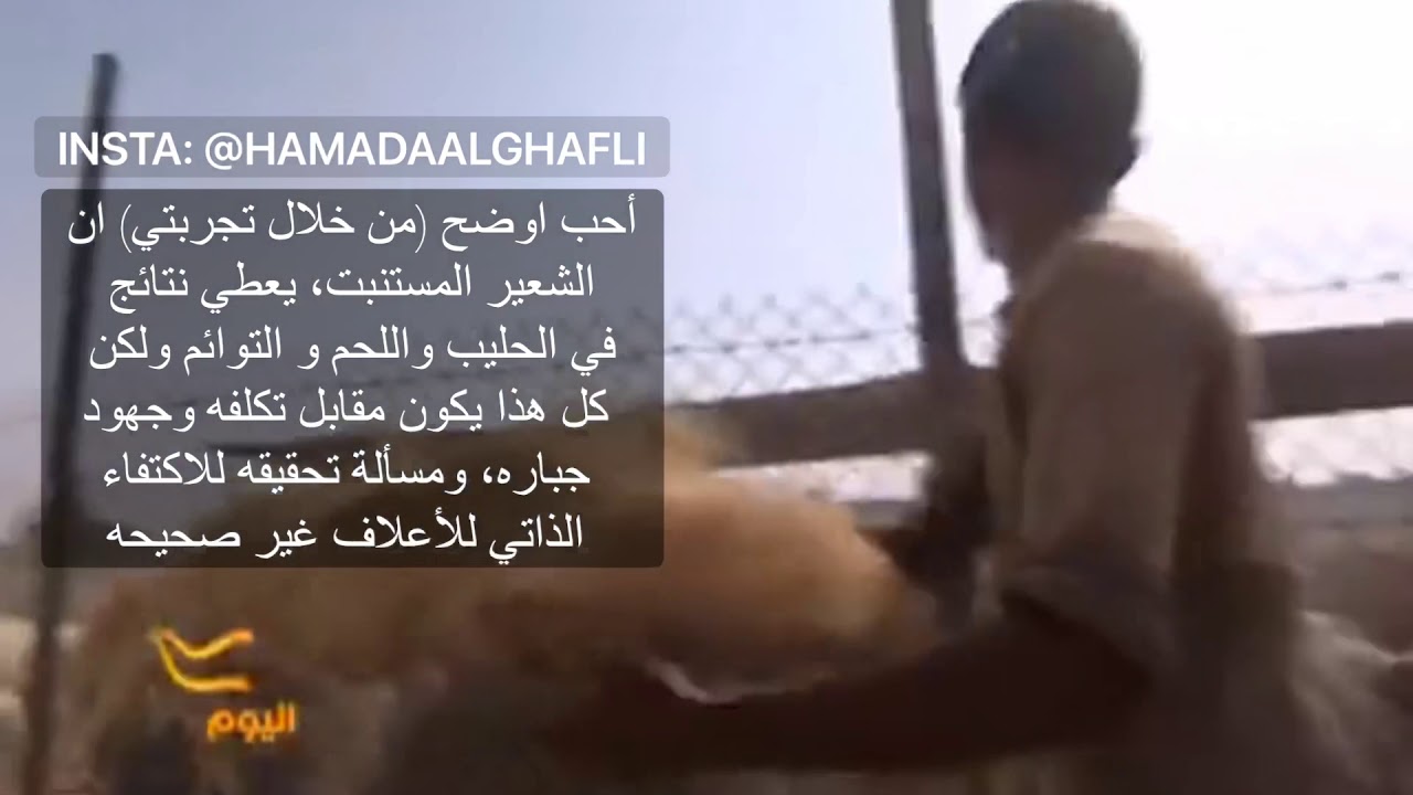 تجربتي في الشعير المستنبت 2011