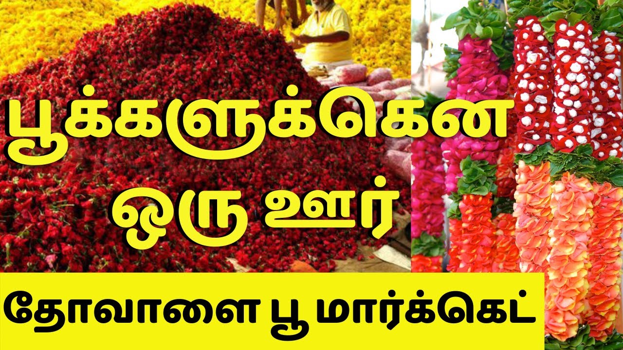 தென்னிந்தியாவிலேயே பெரிய Flower Market | Thovalai Poo Market