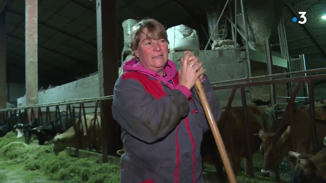 Les Néerlandais en Franche-Comté : pourquoi ont-ils choisi notre région ? (1/4)