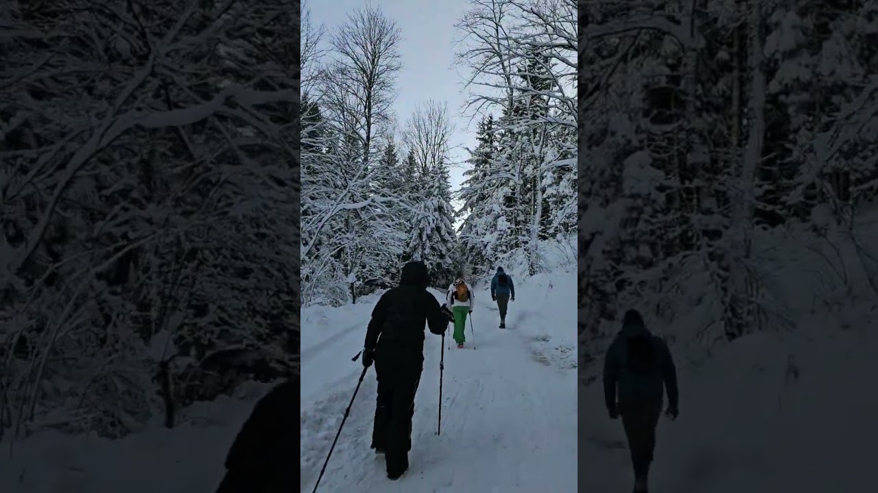 Short and sweet hiking Mrzlica (1122m) Slovenia. it was a wonderful weekend.